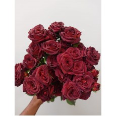 Chocolate Bubbles Chocolate Bubbles