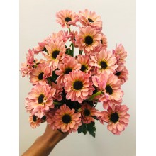 Chrysanthemums Santini - Yin Yang Smoke 55cm