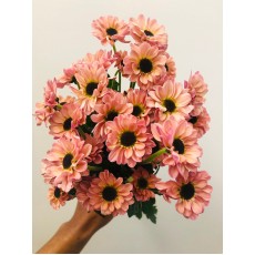 Chrysanthemums Santini - Yin Yang Smoke 55cm