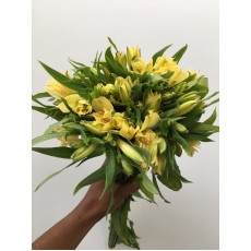 Yellowstone Alstroemeria 