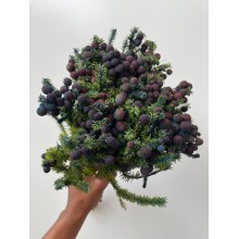 Fresh Brunia Spray - Blue 