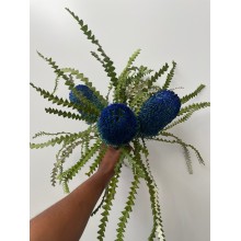 Fresh Banksia Dyed Blue