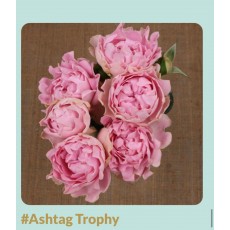 #Ashtag Trophy 