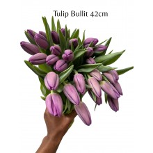 Tulip - Bullit