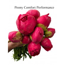 Peony - Comfort Performance 