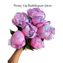 Peony VIP bubblegum 50cm Peony VIP bubblegum 50cm