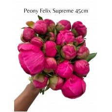 Peony Felix Supreme 45cm