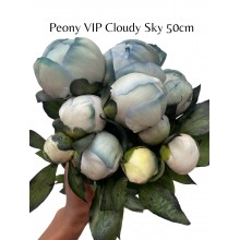 Peony - Cloudy Sky Dyed
