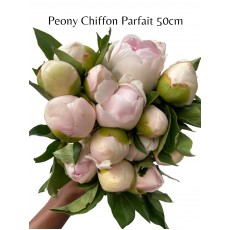 Peony Chiffon Parfait 50cm