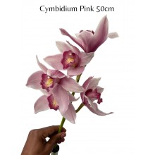 Cymbidiums 5 - 6 buds Pink