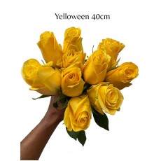Yelloween Rose 