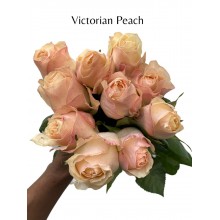 Victorian Peach 