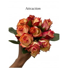 Attraction 