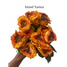 Island Samoa 