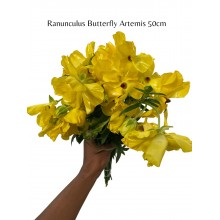 Ranunculus Butterfly Artemis