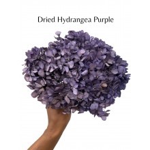 Hydrangea Dried -  Purple