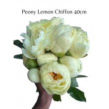 Peony - Lemon Chiffon