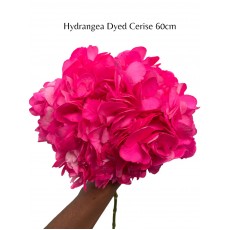 Hydrangea S-Collection Cerise Dyed 