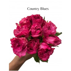 Country Blues 