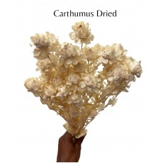 Dried Carthamus - Bleached 