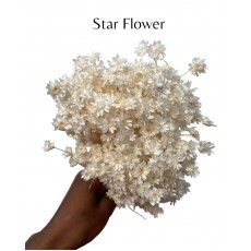 Star Flower Bleached 