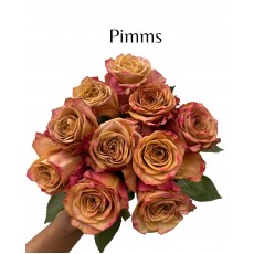 Pimms Single Rose Head 