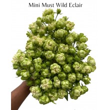 Mini Must Wild Eclair Green