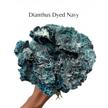 Carnation - Dyed Navy Blue