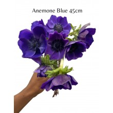 Anemone Dark Blue 
