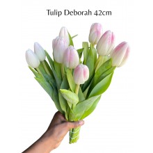 Tulip - Deborah 42cm