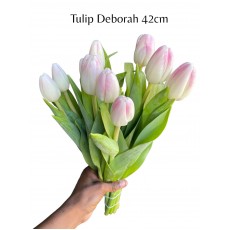 Tulip - Deborah 42cm