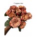 Cappuccino Rose 