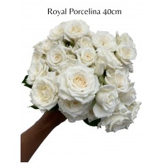 Royal Porcelina