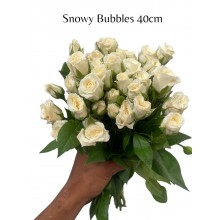 Snowy Bubbles 2
