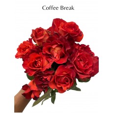 Coffee Break 