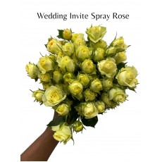 Wedding Invite Spray Rose