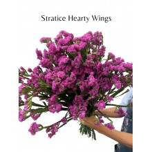 Stratice Hearty Wings