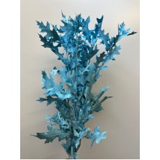 Oak Preserved Blue (Dried)