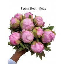 Peony Boom Roze Peony Boom Roze