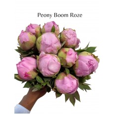 Peony Boom Roze 