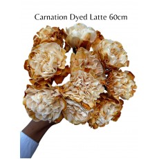 Carnation Dyed Latte