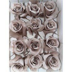 Preserved Roses Latte 4cm