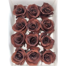 Preserved Roses Ebony 4cm