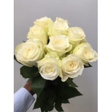 White Peak 70cm