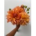 Dahlia Hamari Gold