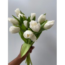 Tulip Tinkerbell 39cm