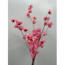 Preserved Bougainvillea 45CM - Pink 