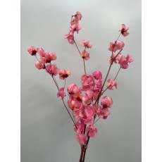 Preserved Bougainvillea 45CM - Pink 
