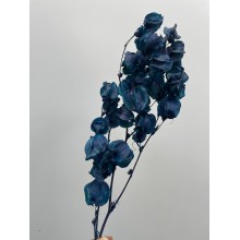 Preserved Bougainvillea 45CM - Dark Blue 