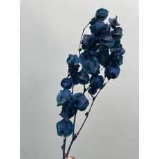 Preserved Bougainvillea 45CM - Dark Blue 